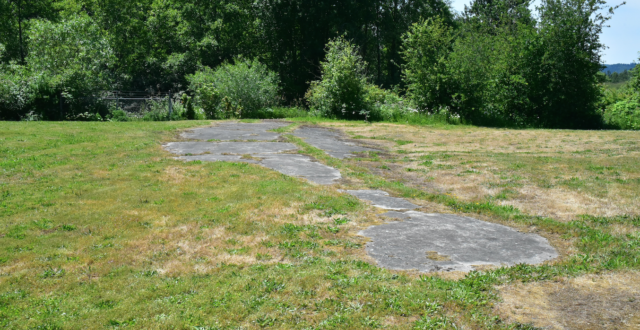 The foundation of the theater that once sat 750 people, one of the few remaining physical pieces of Vanport. Photo by Pete Shaw.